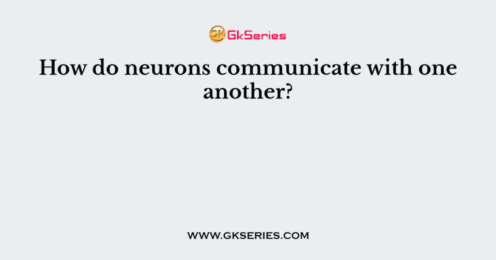 How do neurons communicate with one another?