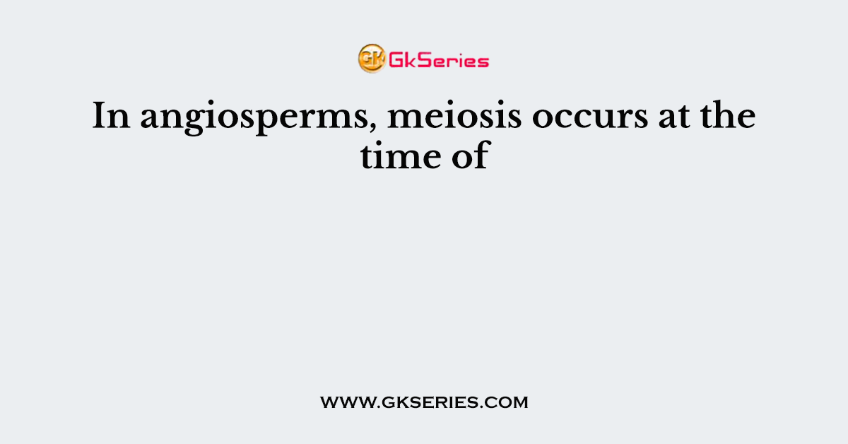 In angiosperms, meiosis occurs at the time of