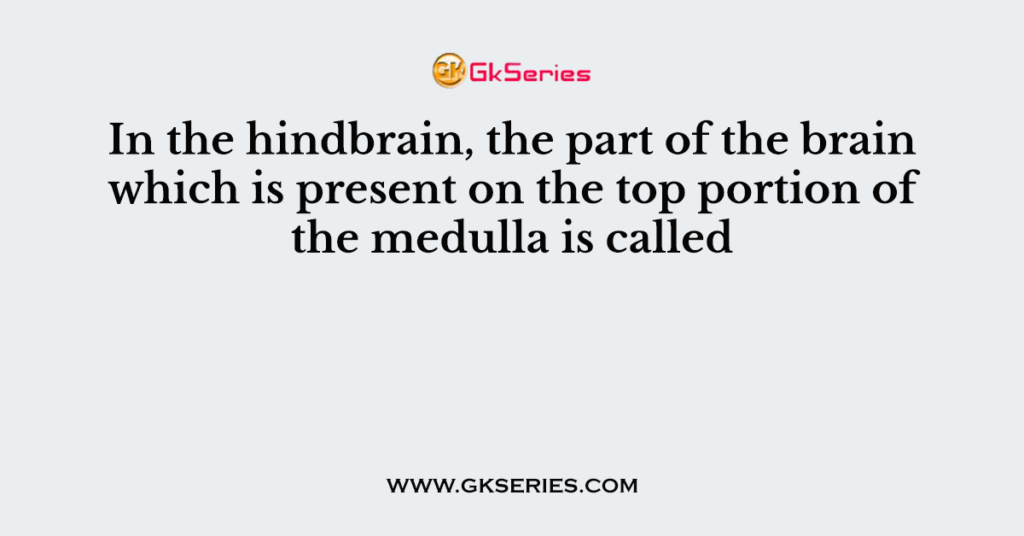 In the hindbrain, the part of the brain which is present on the top portion of the medulla is called