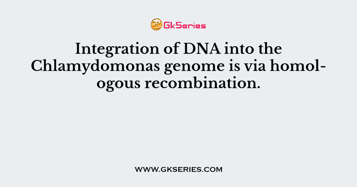 Integration of DNA into the Chlamydomonas genome is via homologous recombination.