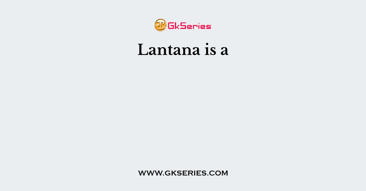 Lantana is a