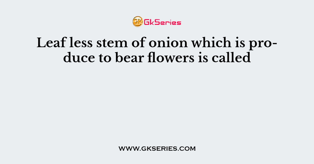 Leaf less stem of onion which is produce to bear flowers is called