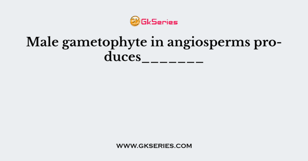 Male gametophyte in angiosperms produces_______