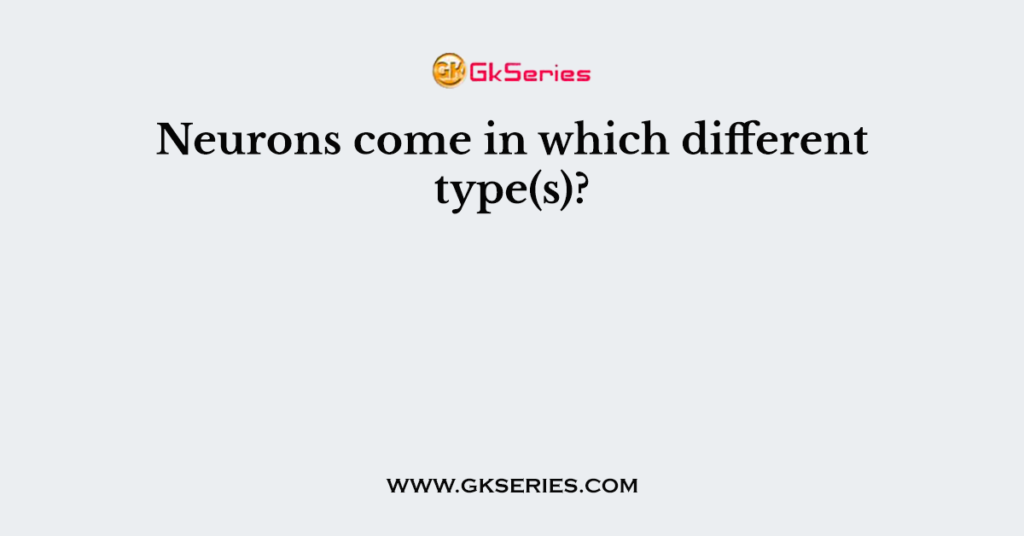 Neurons come in which different type(s)?