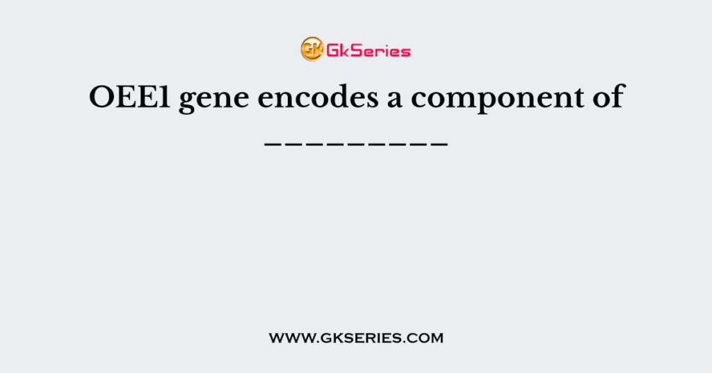 OEE1 gene encodes a component of _________