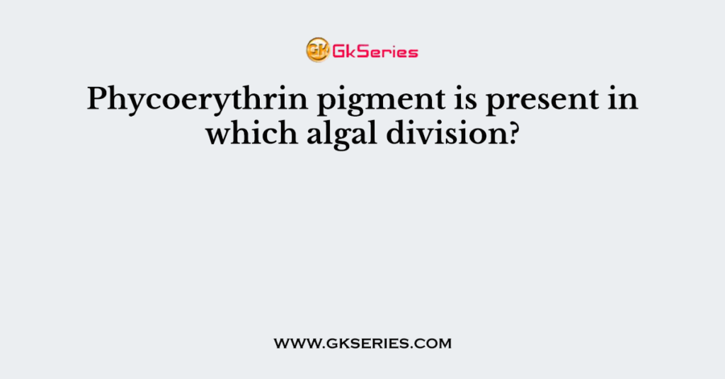 Phycoerythrin pigment is present in which algal division?