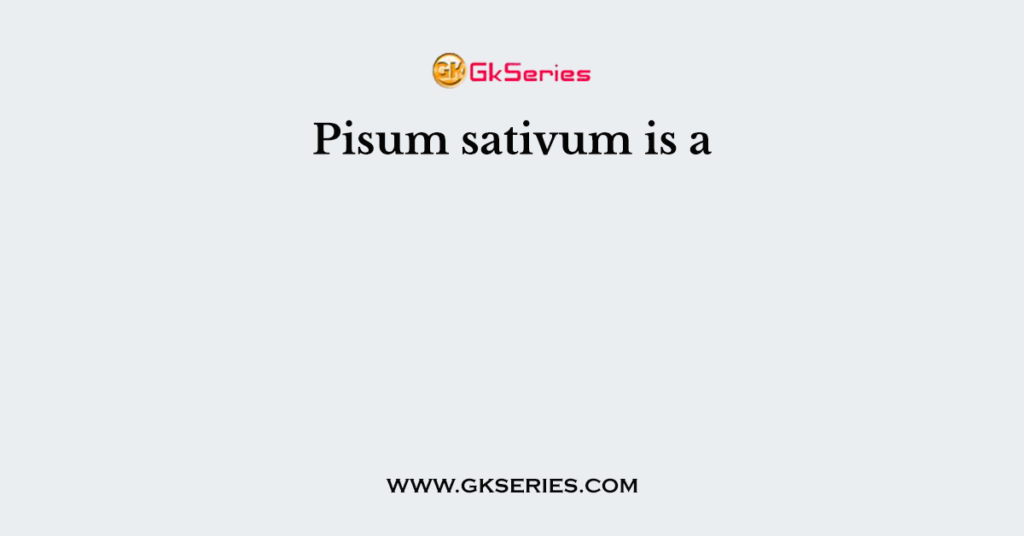 Pisum sativum is a