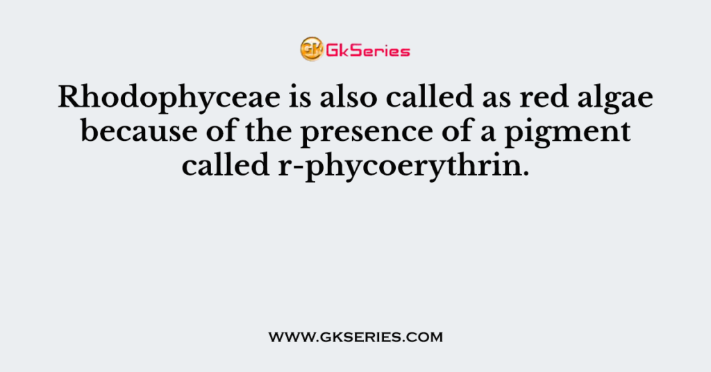 Rhodophyceae is also called as red algae because of the presence of a pigment called r-phycoerythrin.