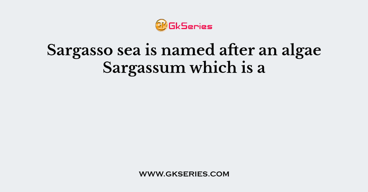Sargasso sea is named after an algae Sargassum which is a
