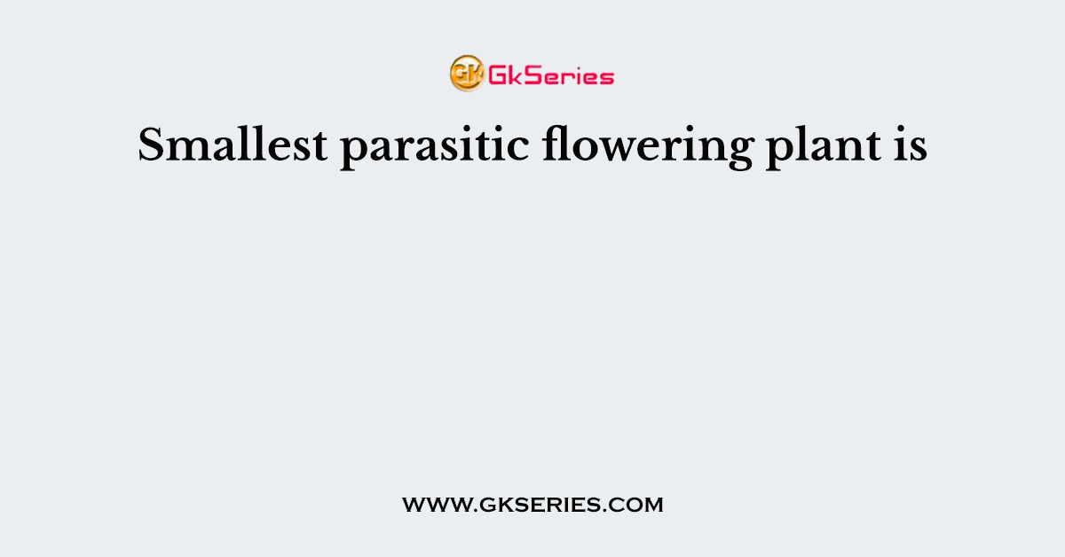 Smallest parasitic flowering plant is