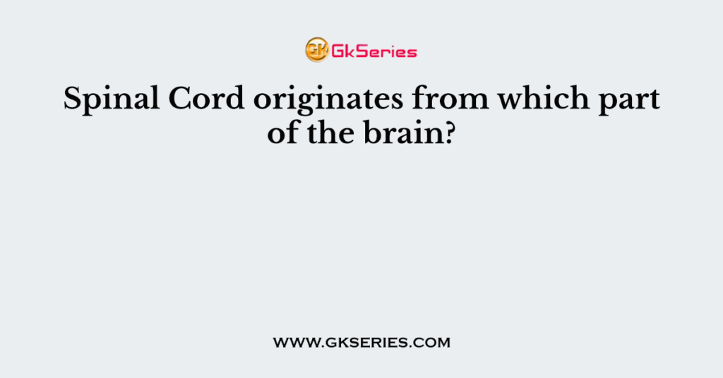 Spinal Cord originates from which part of the brain?