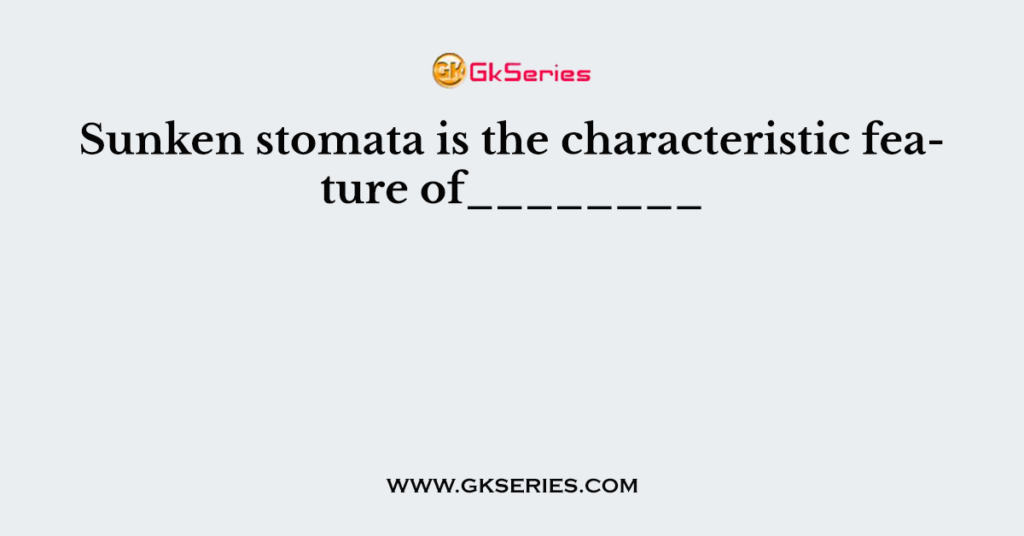 Sunken stomata is the characteristic feature of________