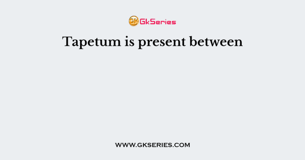 Tapetum is present between