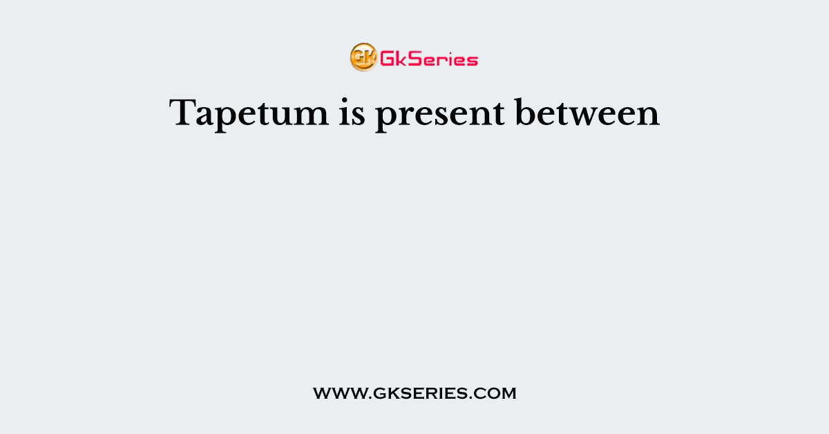 Tapetum is present between