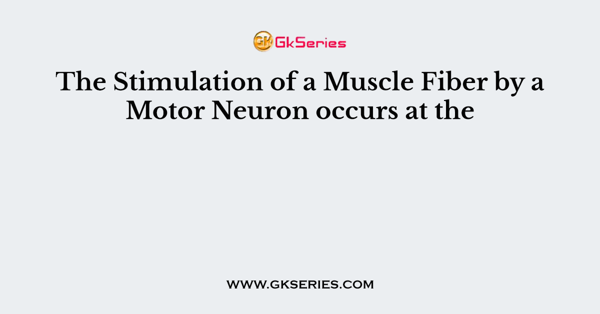 The Stimulation of a Muscle Fiber by a Motor Neuron occurs at the
