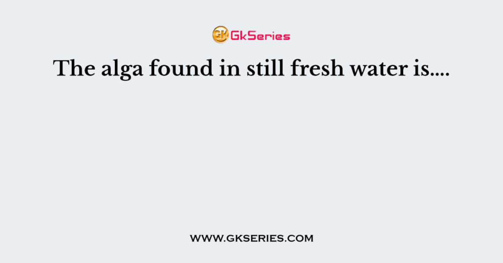 The alga found in still fresh water is….