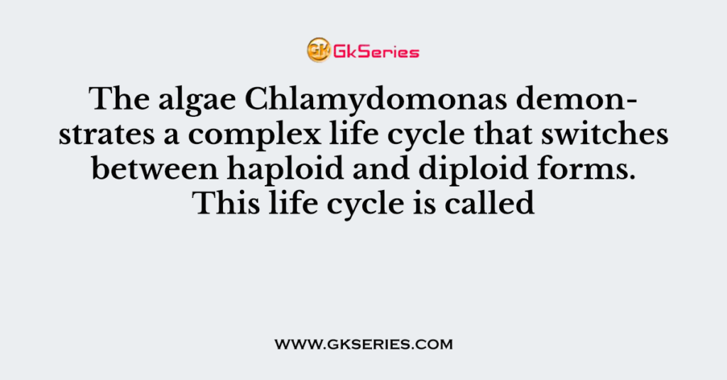 The algae Chlamydomonas demonstrates a complex life cycle that switches between haploid and diploid forms. This life cycle is called