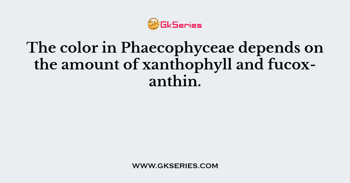The color in Phaecophyceae depends on the amount of xanthophyll and fucoxanthin.