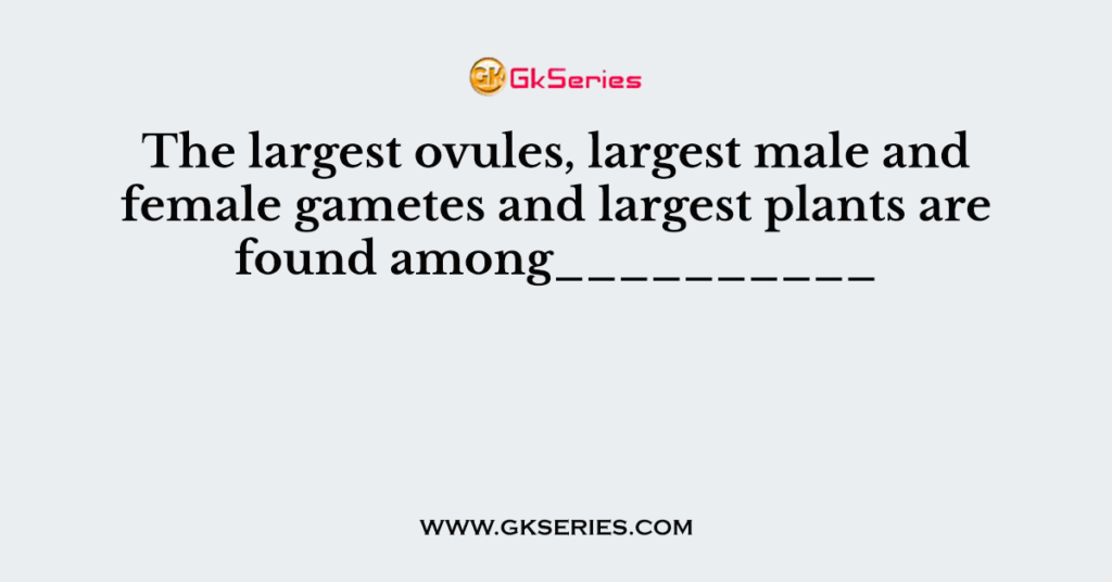 The largest ovules, largest male and female gametes and largest plants are found among__________