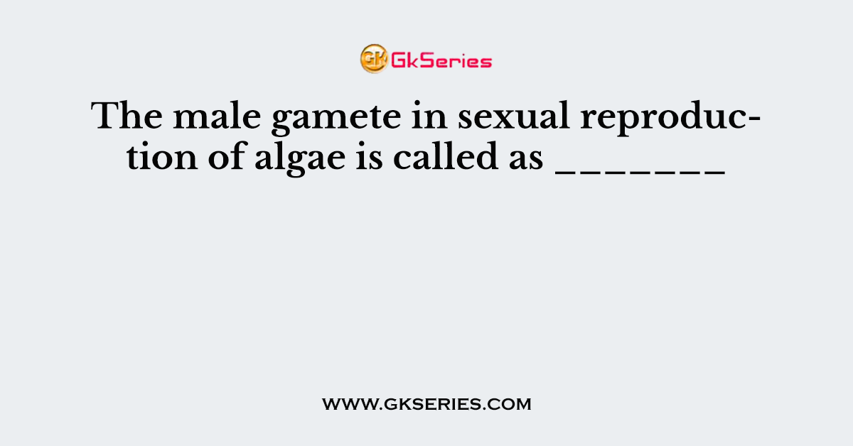 The male gamete in sexual reproduction of algae is called as _______