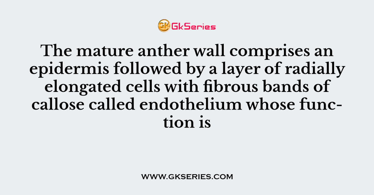 The mature anther wall comprises an epidermis followed by a layer of radially elongated cells with fibrous bands of callose called endothelium whose function is