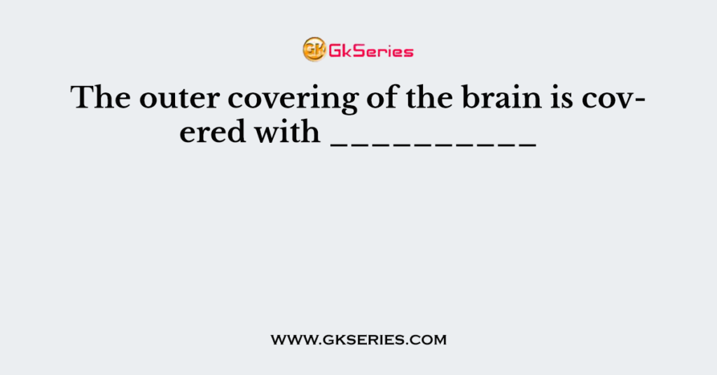 the-outer-covering-of-the-brain-is-covered-with