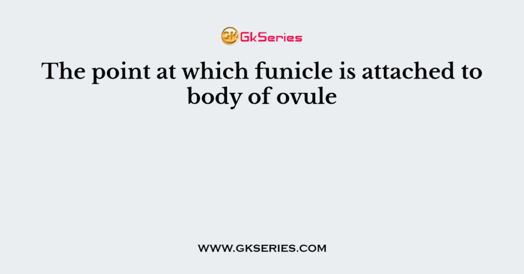 The point at which funicle is attached to body of ovule