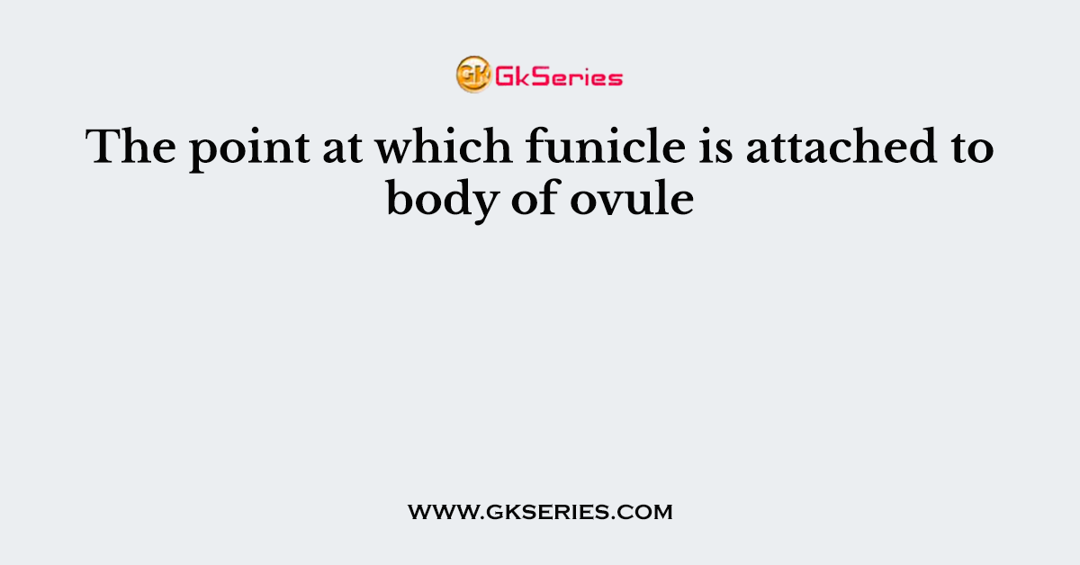 The point at which funicle is attached to body of ovule