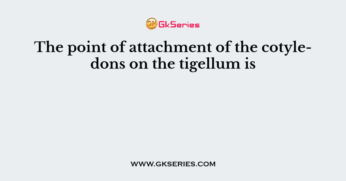 The point of attachment of the cotyledons on the tigellum is