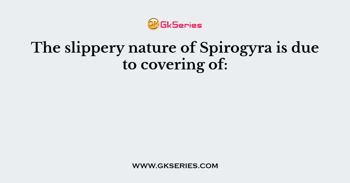 The slippery nature of Spirogyra is due to covering of: