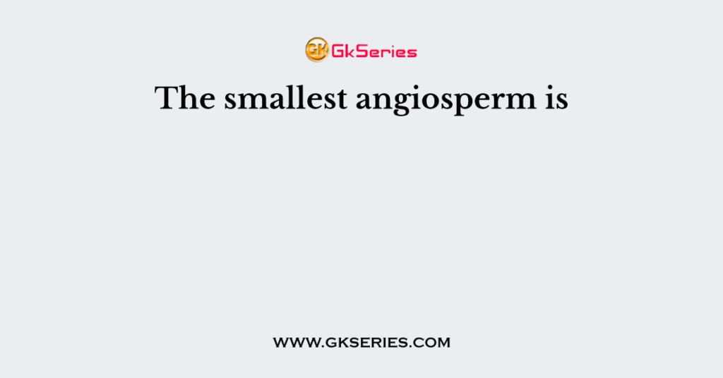 The smallest angiosperm is