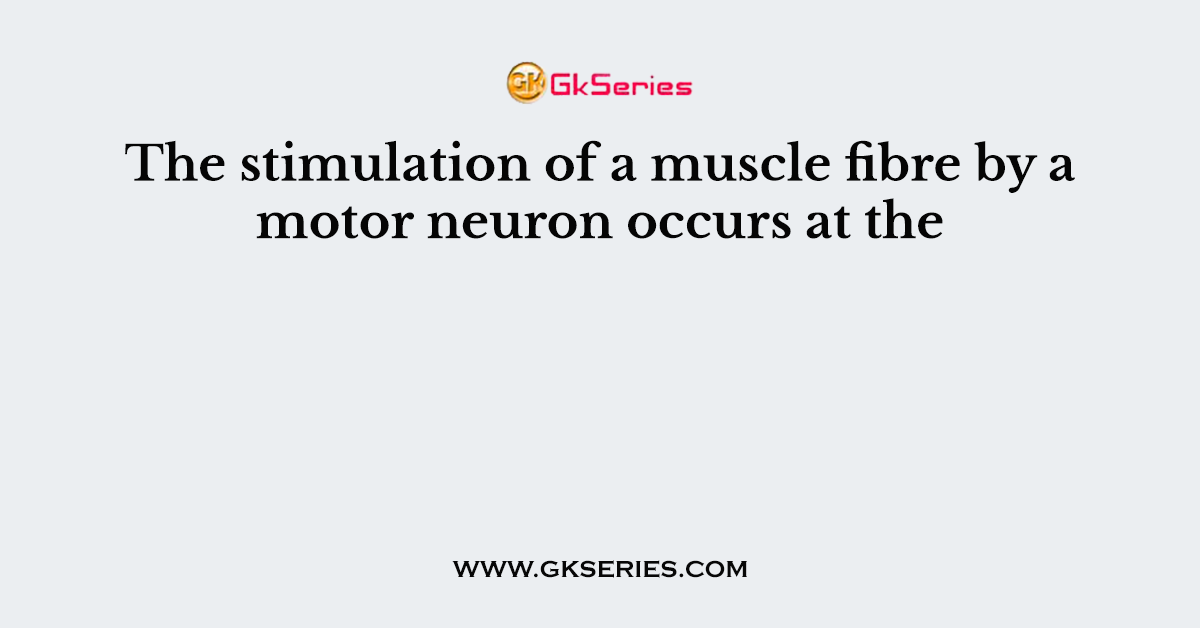 The stimulation of a muscle fibre by a motor neuron occurs at the