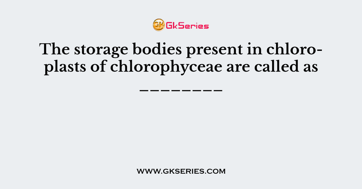 The storage bodies present in chloroplasts of chlorophyceae are called as ________