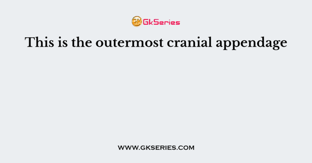 This is the outermost cranial appendage