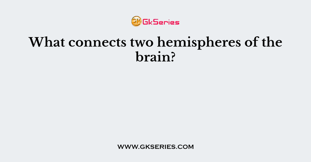 What connects two hemispheres of the brain?