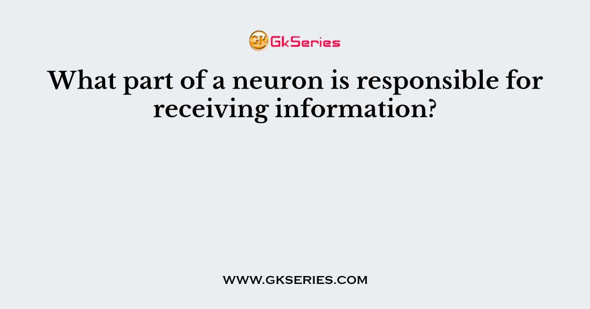 What part of a neuron is responsible for receiving information?