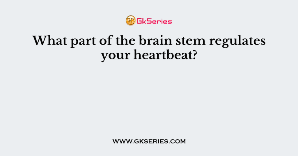 What part of the brain stem regulates your heartbeat?