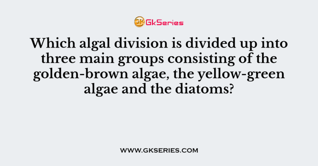 Which algal division is divided up into three main groups consisting of the golden-brown algae, the yellow-green algae and the diatoms?