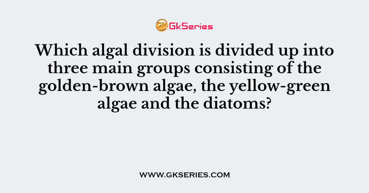 Which algal division is divided up into three main groups consisting of the golden-brown algae, the yellow-green algae and the diatoms?