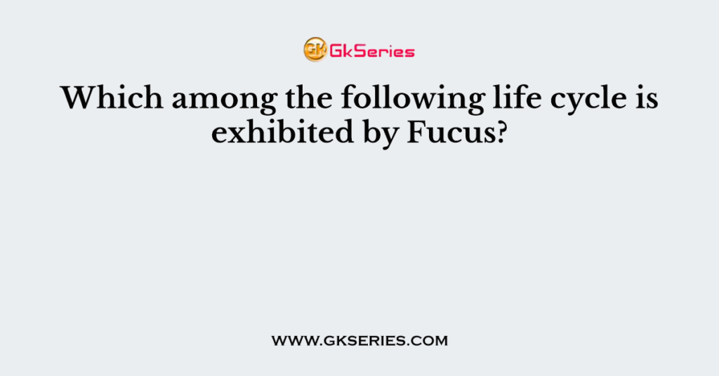 Which among the following life cycle is exhibited by Fucus?