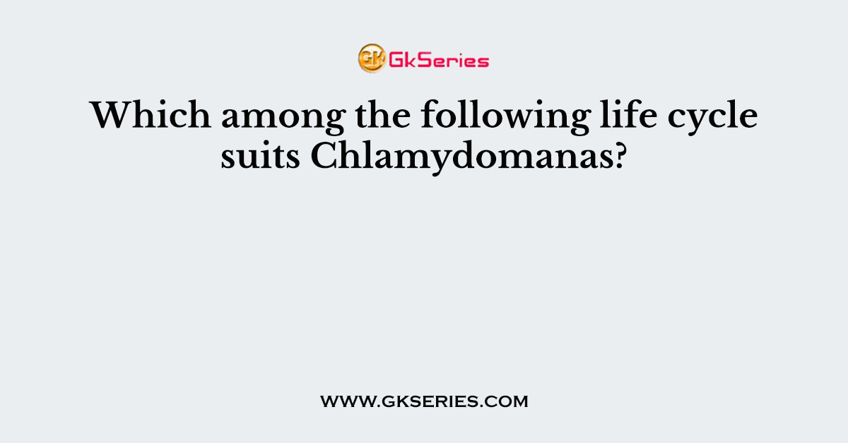Which among the following life cycle suits Chlamydomanas?