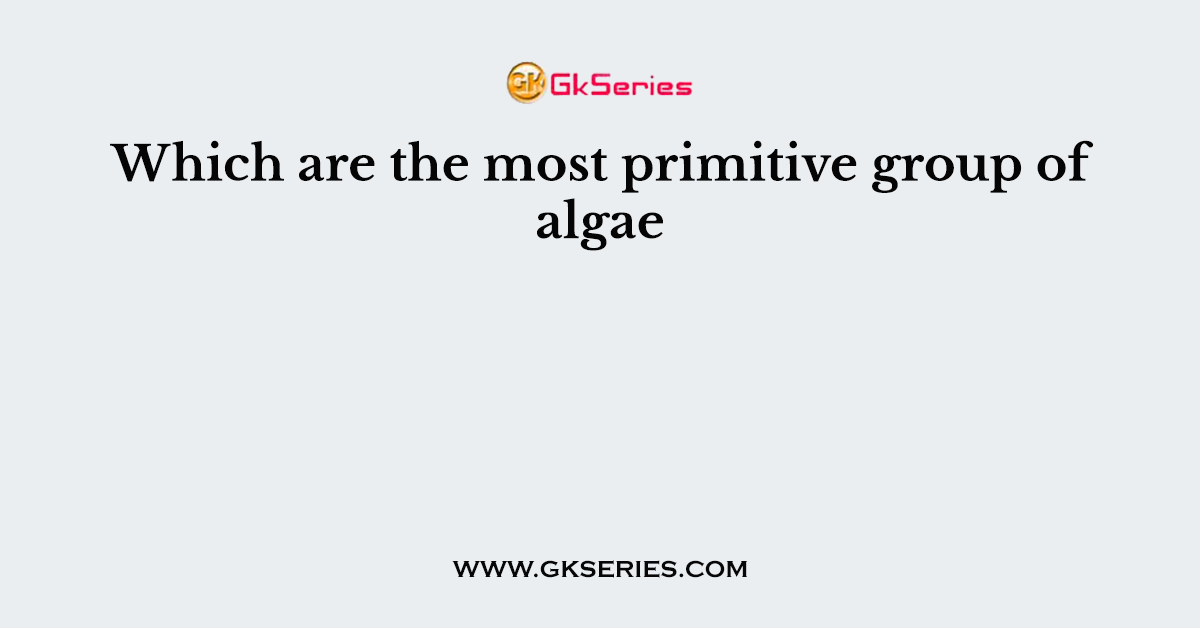 Which are the most primitive group of algae