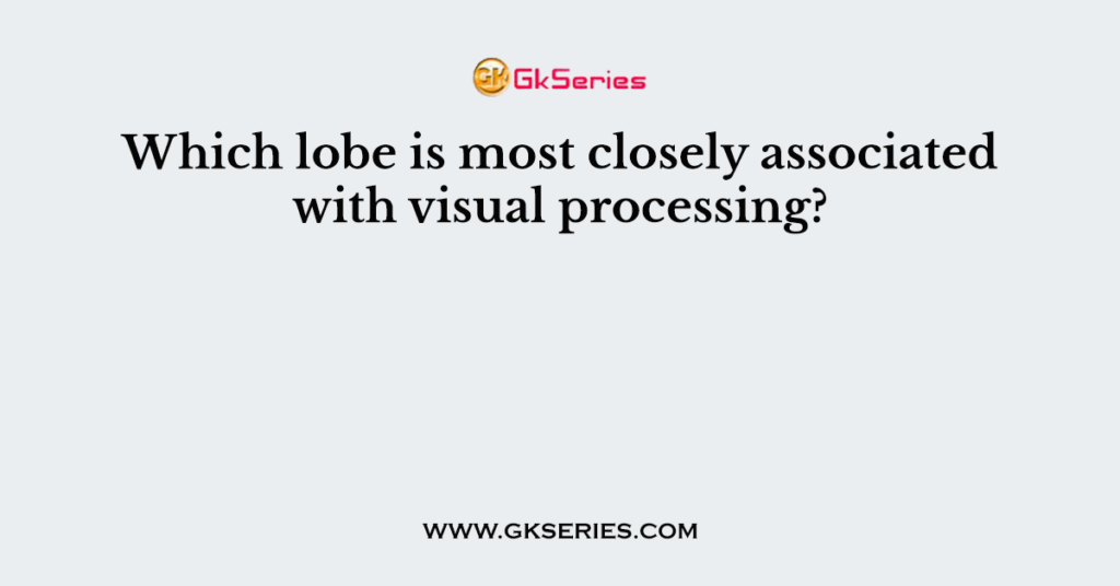 Which lobe is most closely associated with visual processing?