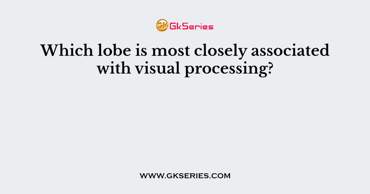 Which lobe is most closely associated with visual processing?