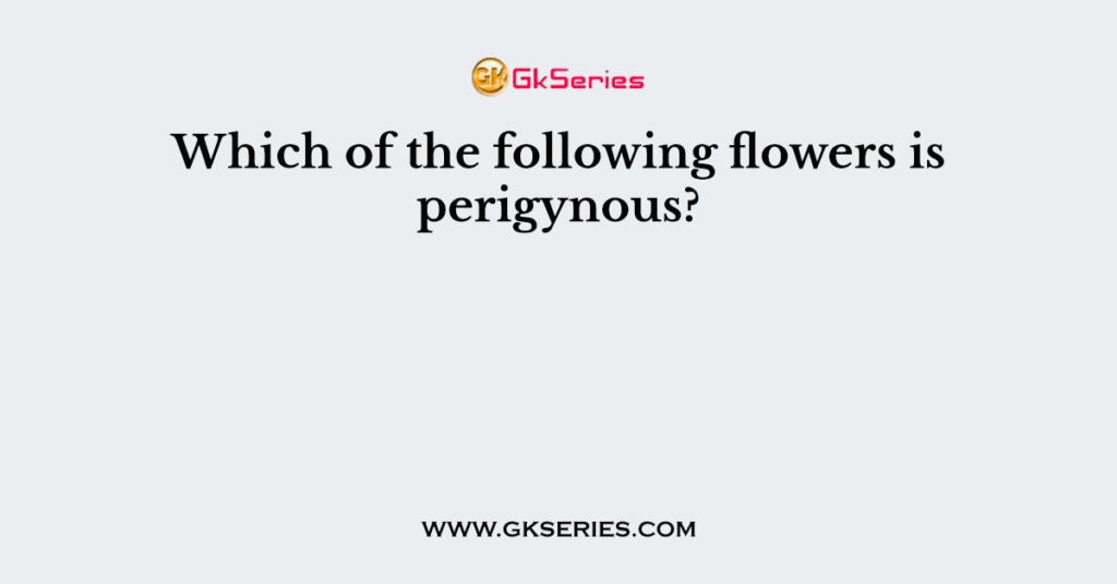 Which of the following flowers is perigynous?