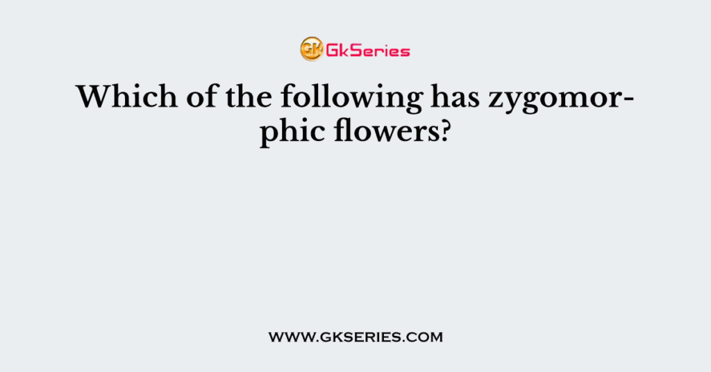 Which of the following has zygomorphic flowers?