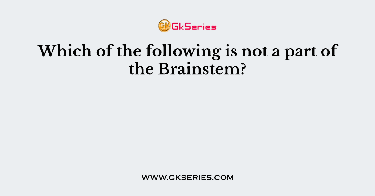 Which of the following is not a part of the Brainstem?