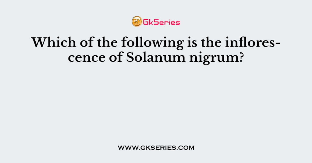 Which of the following is the inflorescence of Solanum nigrum?