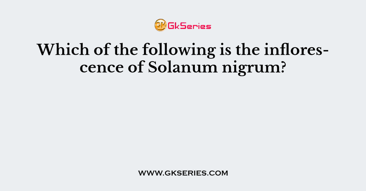 Which of the following is the inflorescence of Solanum nigrum?