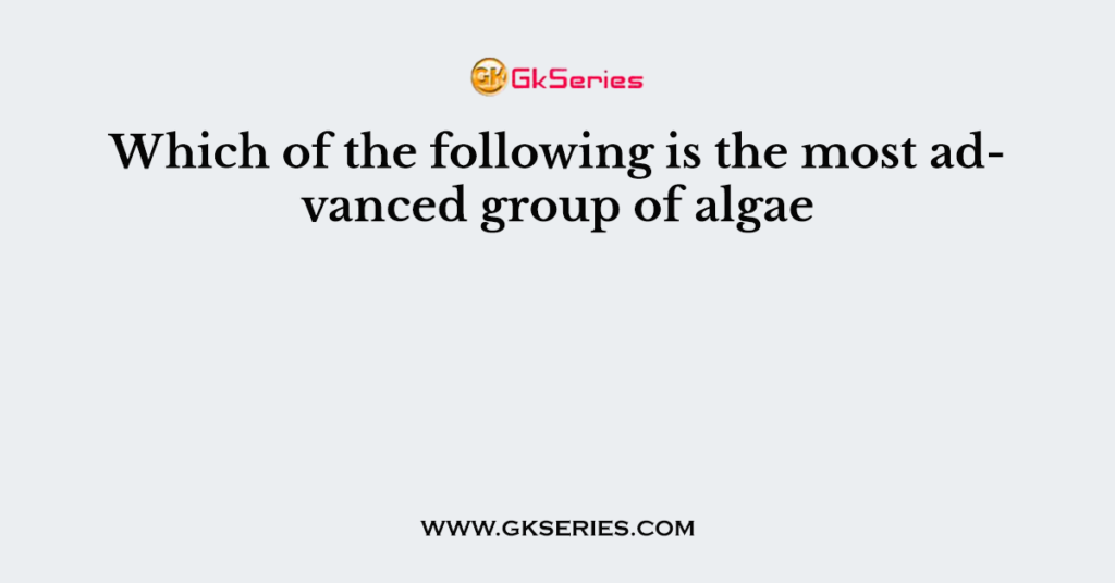 Which of the following is the most advanced group of algae